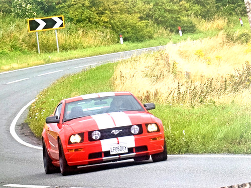 Surrey mustang collectible - surrey,
