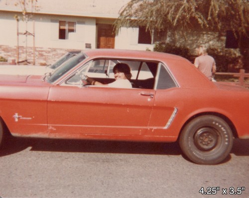 Red muscle car ford mustang - ford,