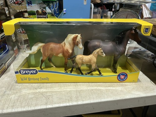 Breyer 2024 tsc - breyer,