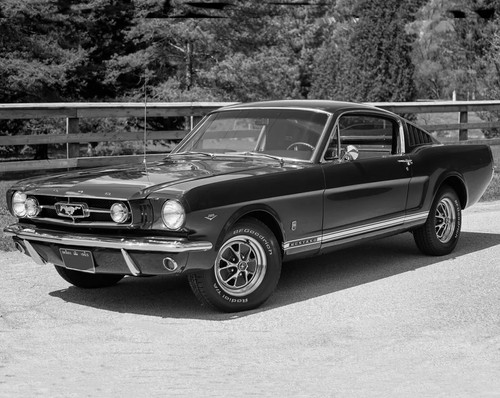 1965 ford mustang - 1965,