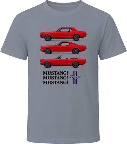 1966 mustang - mustang,