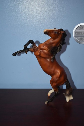 Wild and free - free-rearing, mustang