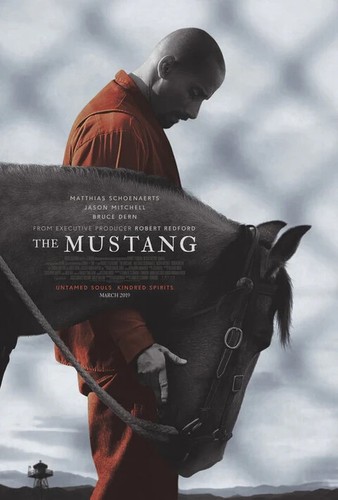 Mustang laminated premium - laminated,